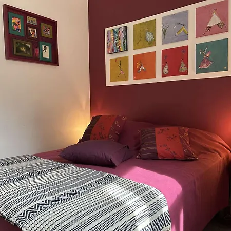 3 Pieces 4 Couchages Sur Bn000-003 Banyuls-sur-Mer